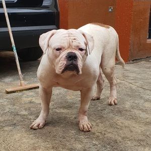 Meet your Posher, Patrick